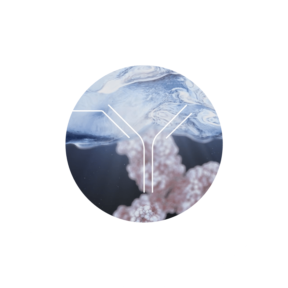 group-question-image