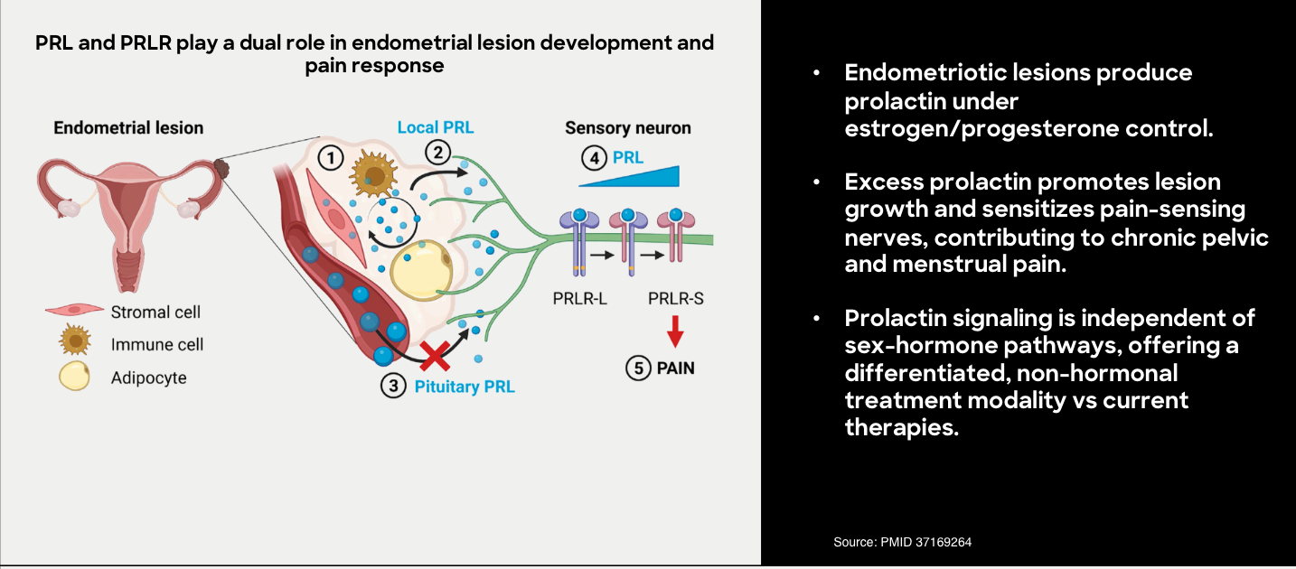 endo201